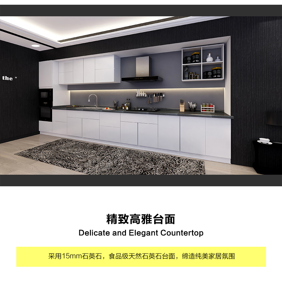 星空梵高定制櫥柜 現(xiàn)代簡約整體定制櫥柜 石英石臺面定制櫥柜 雙飾面-顆粒烤漆010定制櫥柜